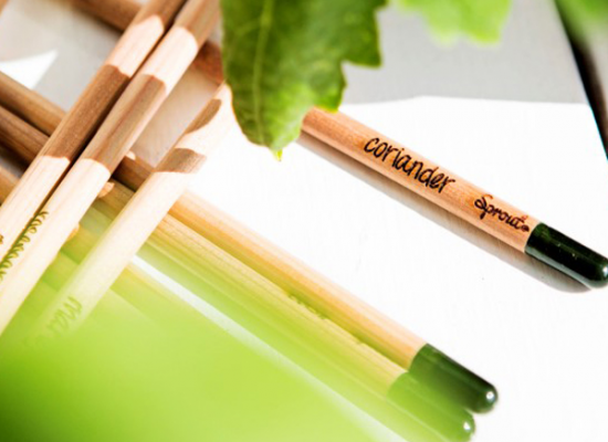 seed-pencil-for-web