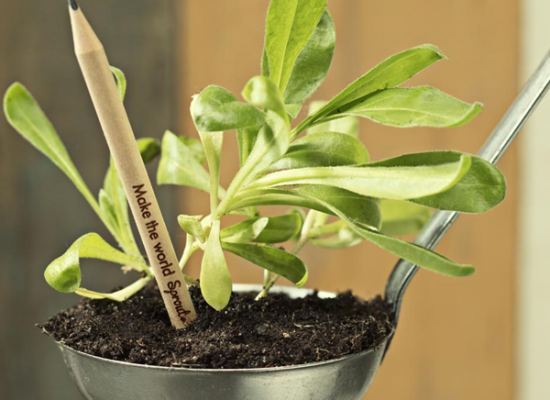 seed-pencil-for-web2